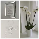 Luxury White Sensation Lejlighed *