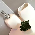 Luxury White Sensation